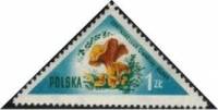 (1959-012) Марка Польша "Лисичка"   Грибы III Θ